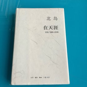 《在天涯：诗选1989—2008》精