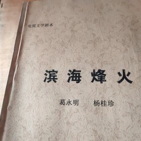滨海烽火 电视文学剧本