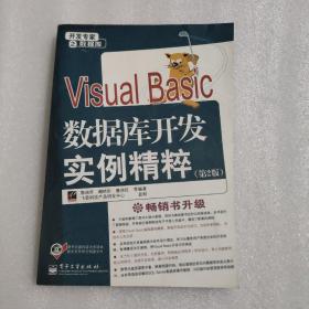 Visual Basic 数据库开发实例精粹（第2版）