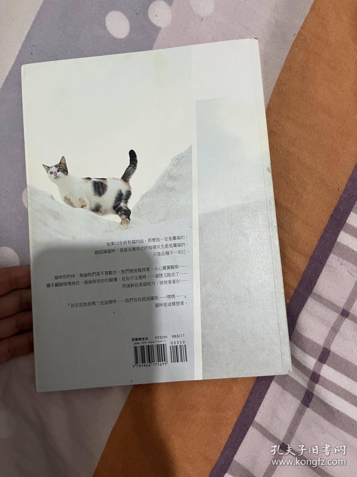 点击查看原图 陈乔恩乔见猫亲笔签名书