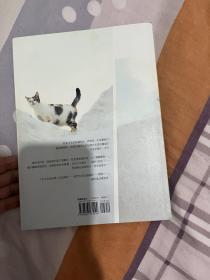 陈乔恩乔见猫亲笔签名书