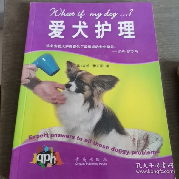 爱犬护理