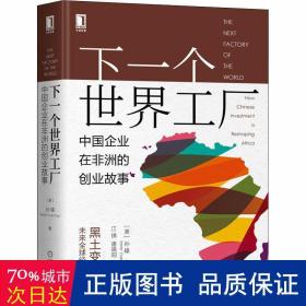 下一个世界工厂：中国企业在非洲的创业故事