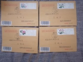 木芙蓉票边首日实寄封全套4枚 成都芙蓉花原地戳芙蓉花是成都市花