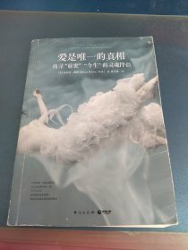 爱是唯一的真相找寻前世今生的灵魂伴侣