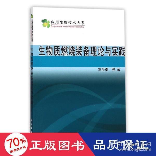 生物质燃烧装备理论与实践