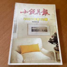 小说月报 8本合售2007年份