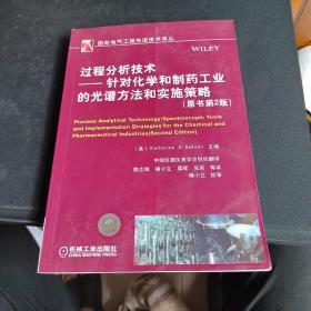 过程分析技术：针对化学和制药工业的光谱方法和实施策略（原书第2版）