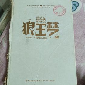 动物小说大王沈石溪经典作品·荣誉珍藏版：狼王梦