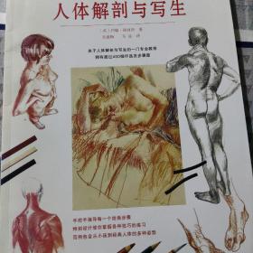 英国艺术院校美术专业绘画课程教材：人体解剖与写生