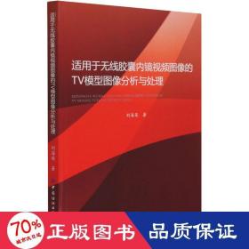 适用于无线胶囊内镜视频图像的TV模型图像分析与处理