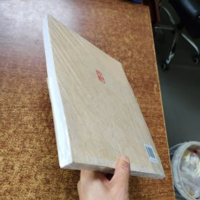 书为心画:吴玉珩书法