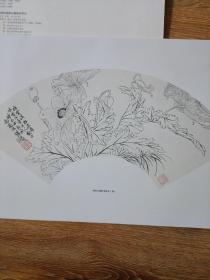 陆抑非扇面白描粉本花卉/中国美术学院名家教学示范作品