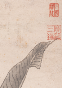 沈周蕉石图 轴。纸本大小57*135厘米。宣纸艺术微喷复制。175元包邮