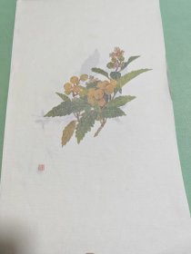 画册