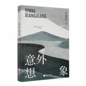 意外想象 外国文学理论 王朝军