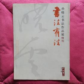 书法有法 孙晓云书法作品展特刊