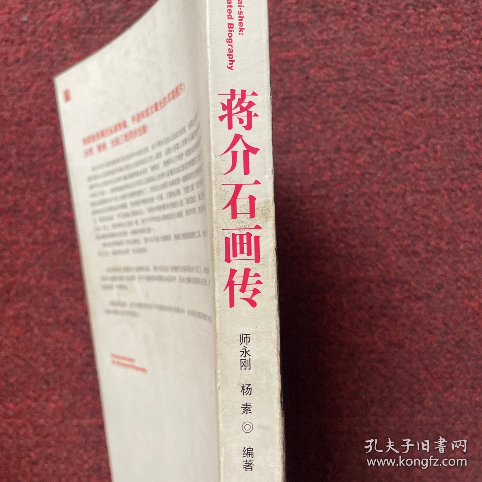 蒋介石画传