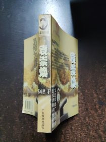 袁崇焕:长篇历史小说