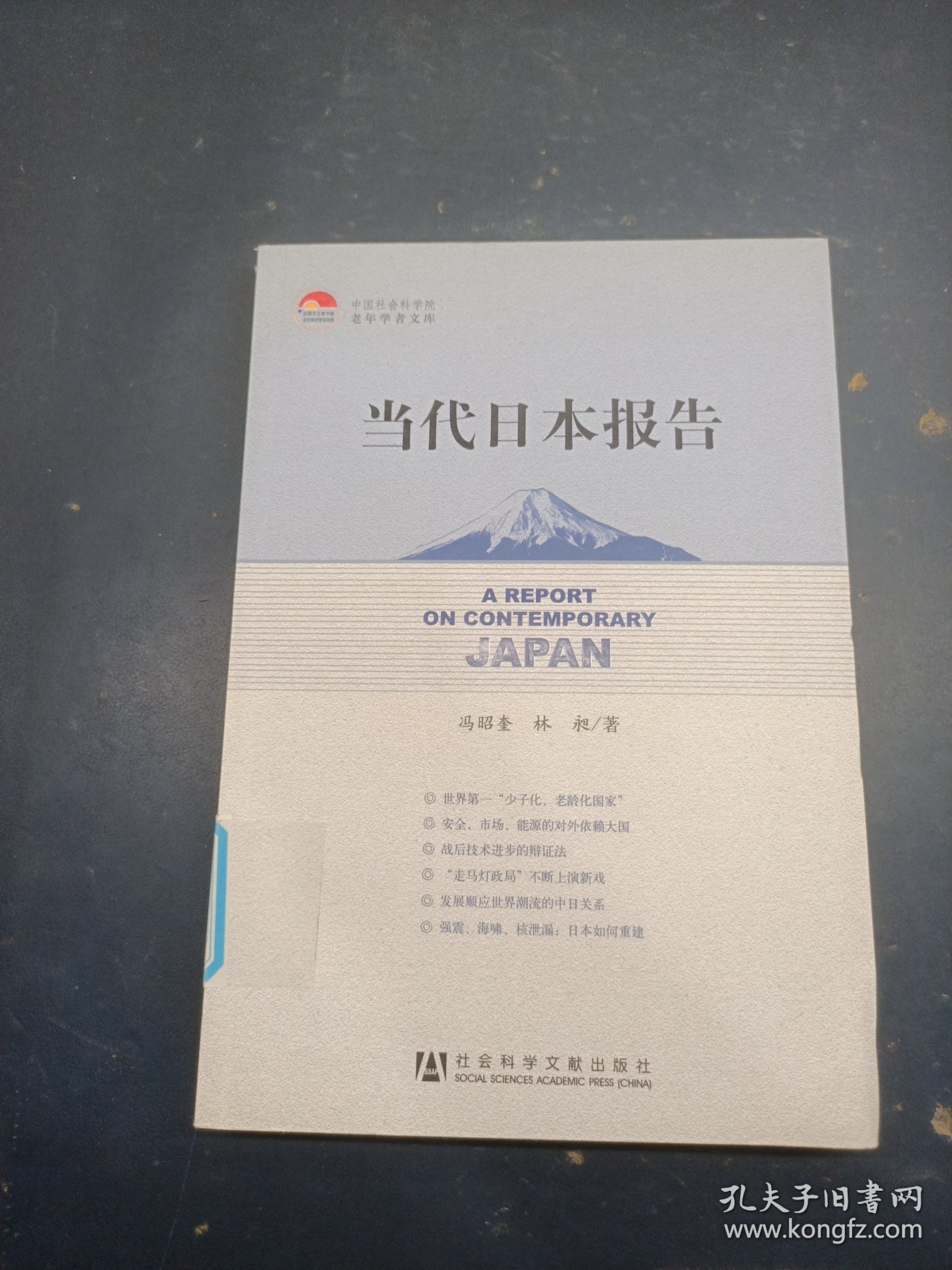 当代日本报告