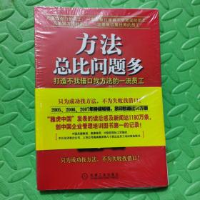 方法总比问题多：打造不找借口找方法的一流员工