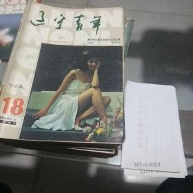 辽宁青年半月刊1994.18