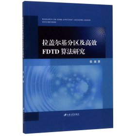 拉盖尔基分区及高效FDTD算法研究