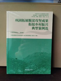 巩固拓展脱贫攻坚成果衔接乡村振兴典型案例选