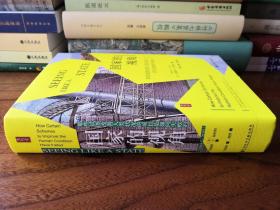 国家的视角：那些试图改善人类状况的项目是如何失败的