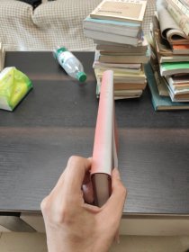 山东辛店发电厂志