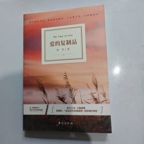 《爱的复制品》上册