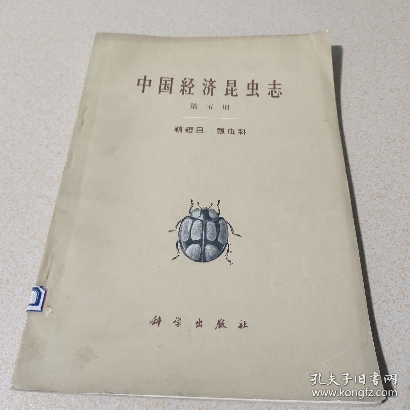 中国经济昆虫志第五册鞘翅目 瓢虫科