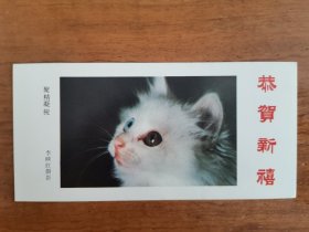 1989年猫咪年历卡年历片