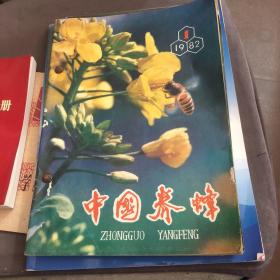 中国养蜂1982年1-6期 全年 合订本