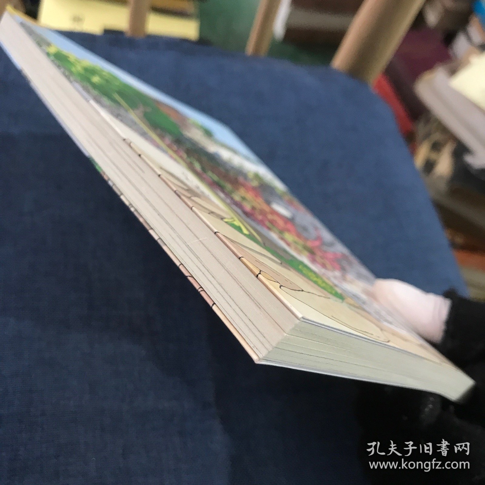 海螺号 儿童文学有声书系列 百花深处