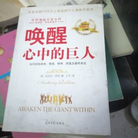 唤醒心中的巨人：如何控制身体、情绪、精神、财富及最终命运