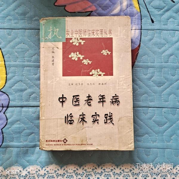 中医老年病临床实践