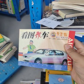 看图养车