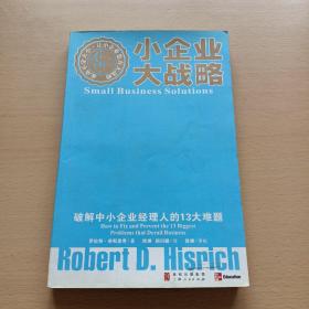 小企业大战略：破解中小企业经理人的13大难题