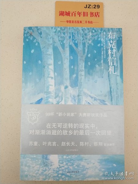 布克村信札：新小说家系列