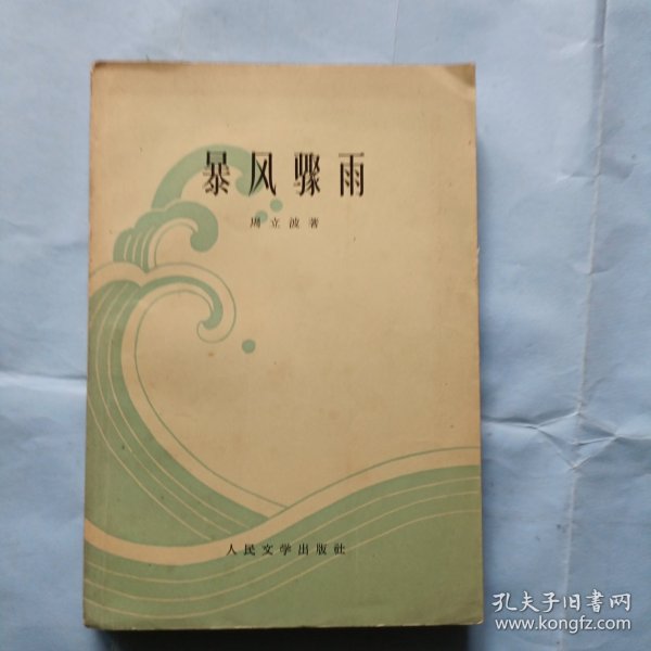 暴风骤雨