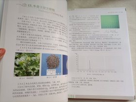 中药配方颗粒质量研究