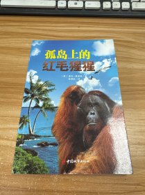 孤岛上的红毛猩猩