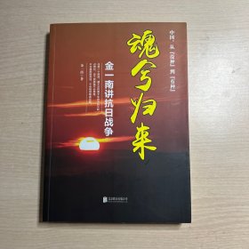 魂兮归来：金一南讲抗日战争