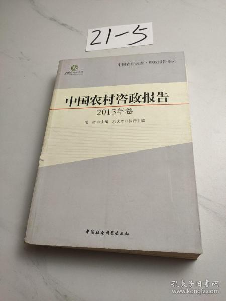 中国农村调查·咨政报告系列：中国农村咨政报告（2013年卷）