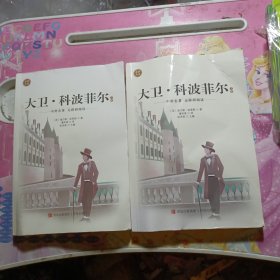 大卫·科波菲尔 外国现当代文学 张洪美主编 新华正版 上下