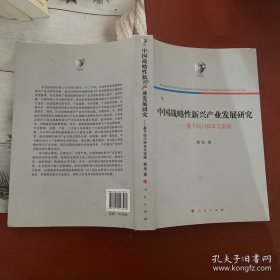 中国战略性新兴产业发展研究