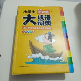 小学生多功能大成语词典彩图大字版配小学语文课本成语听写音频成语故事接龙字典1-6年级工具书大全