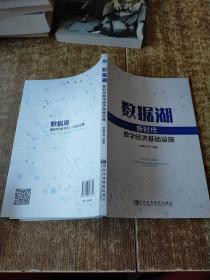 数据湖：新时代数字经济基础设施