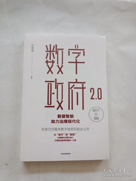 数字政府2.0：数据智能助力治理现代化